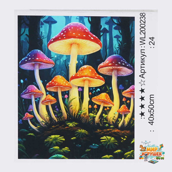 Картина за номерами WL 200238 (30) 'WToys', 40х50 см, світиться у темряві, в коробці