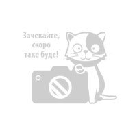 гр Обруч Максі 25256...