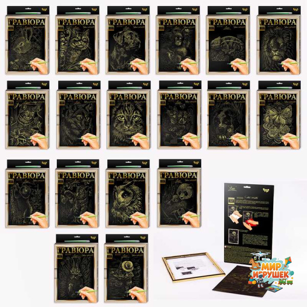 гр Гравюра А 4 Luxe L-ГРА4-02-01з,02з...18з з рамкою СЕРЕДНЯ (18) 'Danko Toys', ОПИС УКР.МОВОЮ