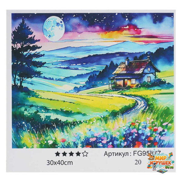 гр Картина за номерами FG 95877 (30) '4FUN Game Club', 30х40 см, в коробці