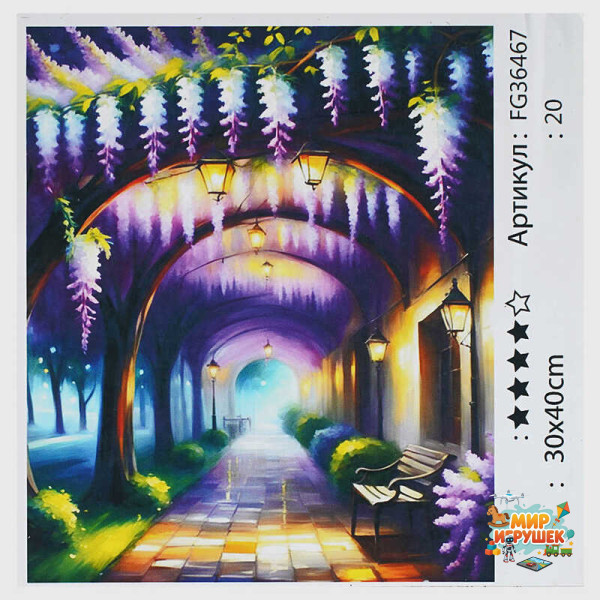 гр Картина за номерами FG 36467 (30) '4FUN Game Club', 30х40 см, в коробці