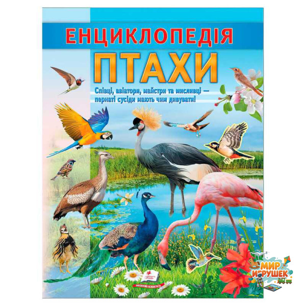 гр Енциклопедія 'Птахи' 9786178638344 (20) 'Пегас', 32 сторінки