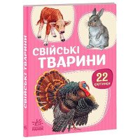 гр 22 картинки “Свій...