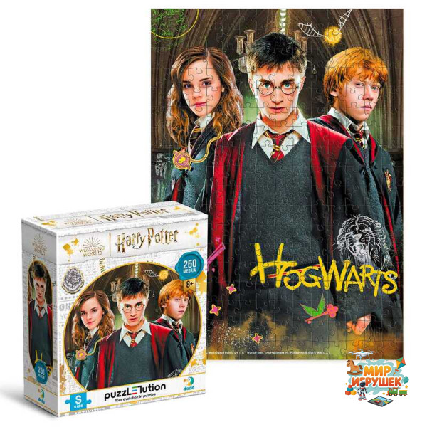 гр Пазл Medium-S 'Harry Potter. Гаррі та друзі' 250 елементів 200498 (32) 'DoDo'
